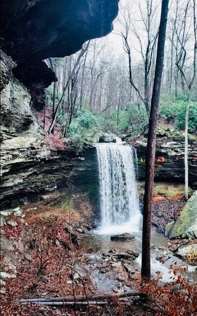 2661 Cooley's Rift Boulevard Pelham, TN 37366 - Photo 91 of 121 IMG_5554