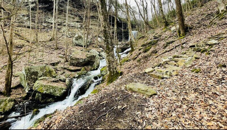 2661 Cooley's Rift Boulevard Pelham, TN 37366 - Photo 92 of 121 IMG_5556