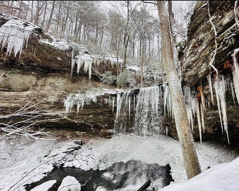 2661 Cooley's Rift Boulevard Pelham, TN 37366 - Photo 94 of 121 IMG_5561