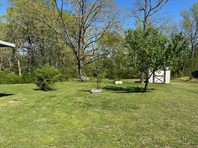 1487 Natchez Trace Road Camden, TN 38320 - Photo 31 of 46 Gallery Image 31