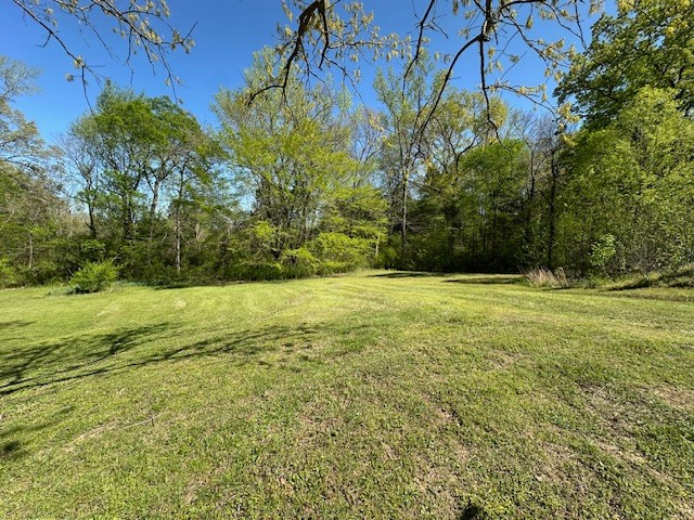 1487 Natchez Trace Road Camden, TN 38320 - Photo 38 of 46 Gallery Image 38
