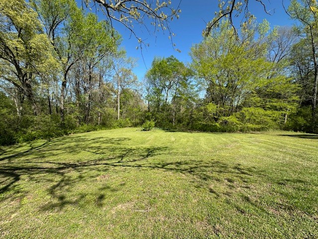 1487 Natchez Trace Road Camden, TN 38320 - Photo 39 of 46 Gallery Image 39