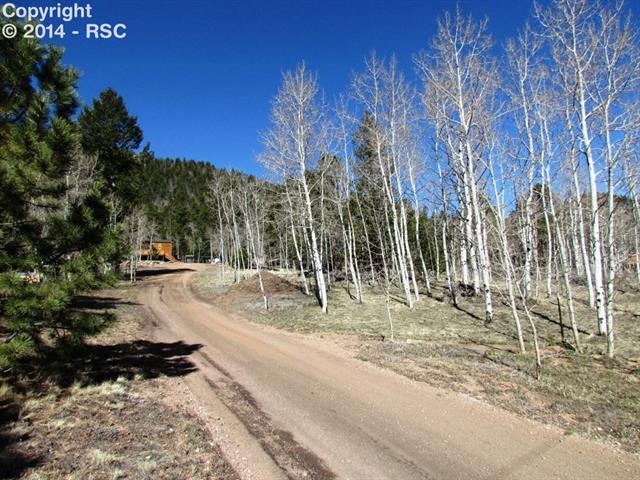1673 Pulver Road Lake George, CO 80827 - Photo 15 of 24 Entry Drive
