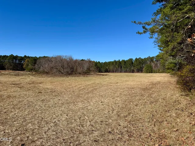 a view of a field with trees in the background