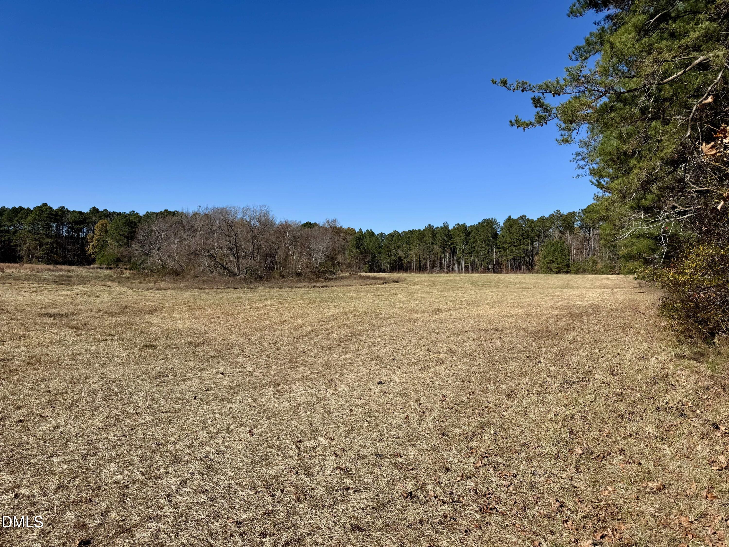 2207 Hamlin Road Durham, NC 27704 - Photo 19 of 21 a view of a field with trees in the background