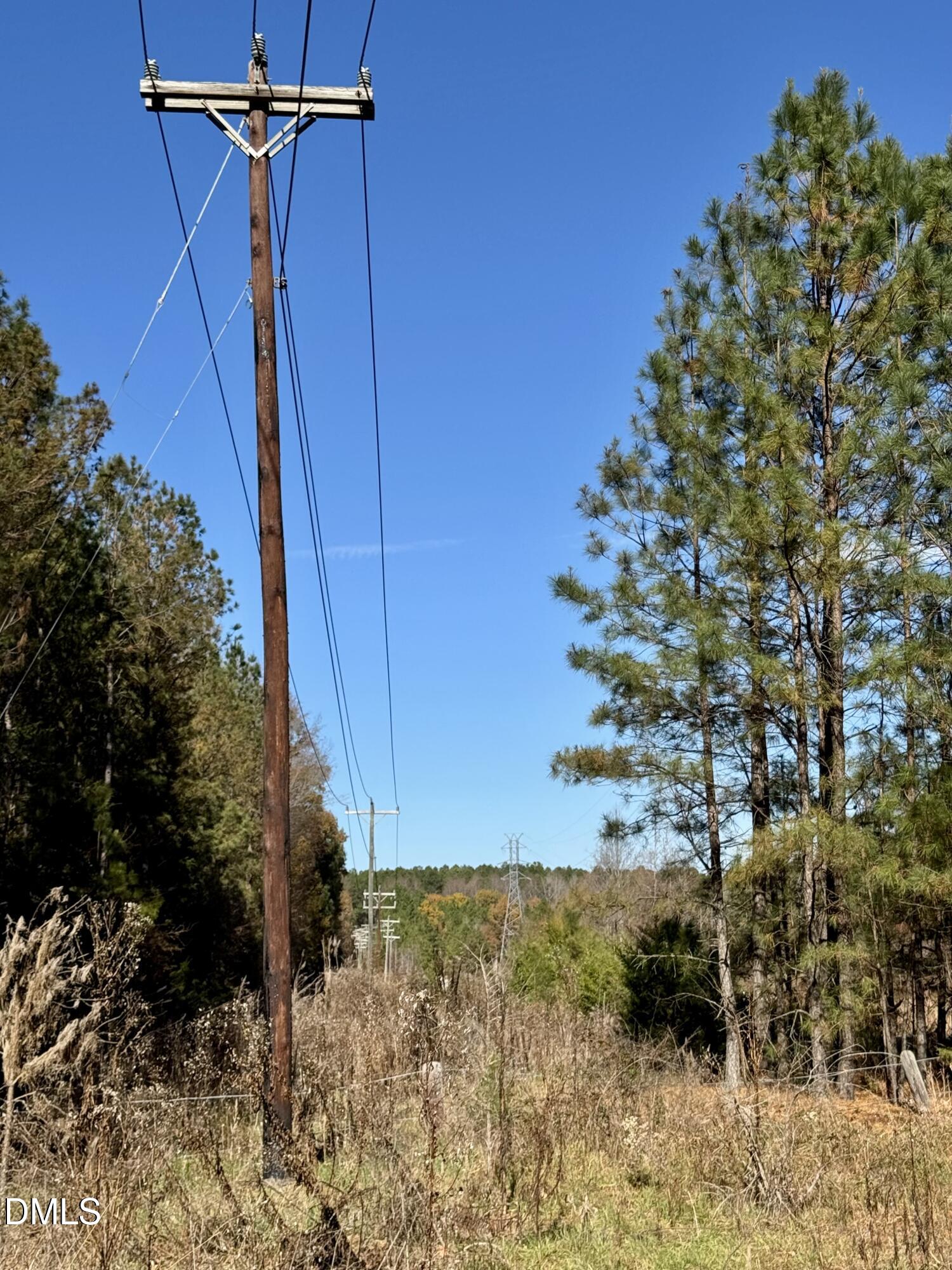 2207 Hamlin Road Durham, NC 27704 - Photo 5 of 21 a view of a yard