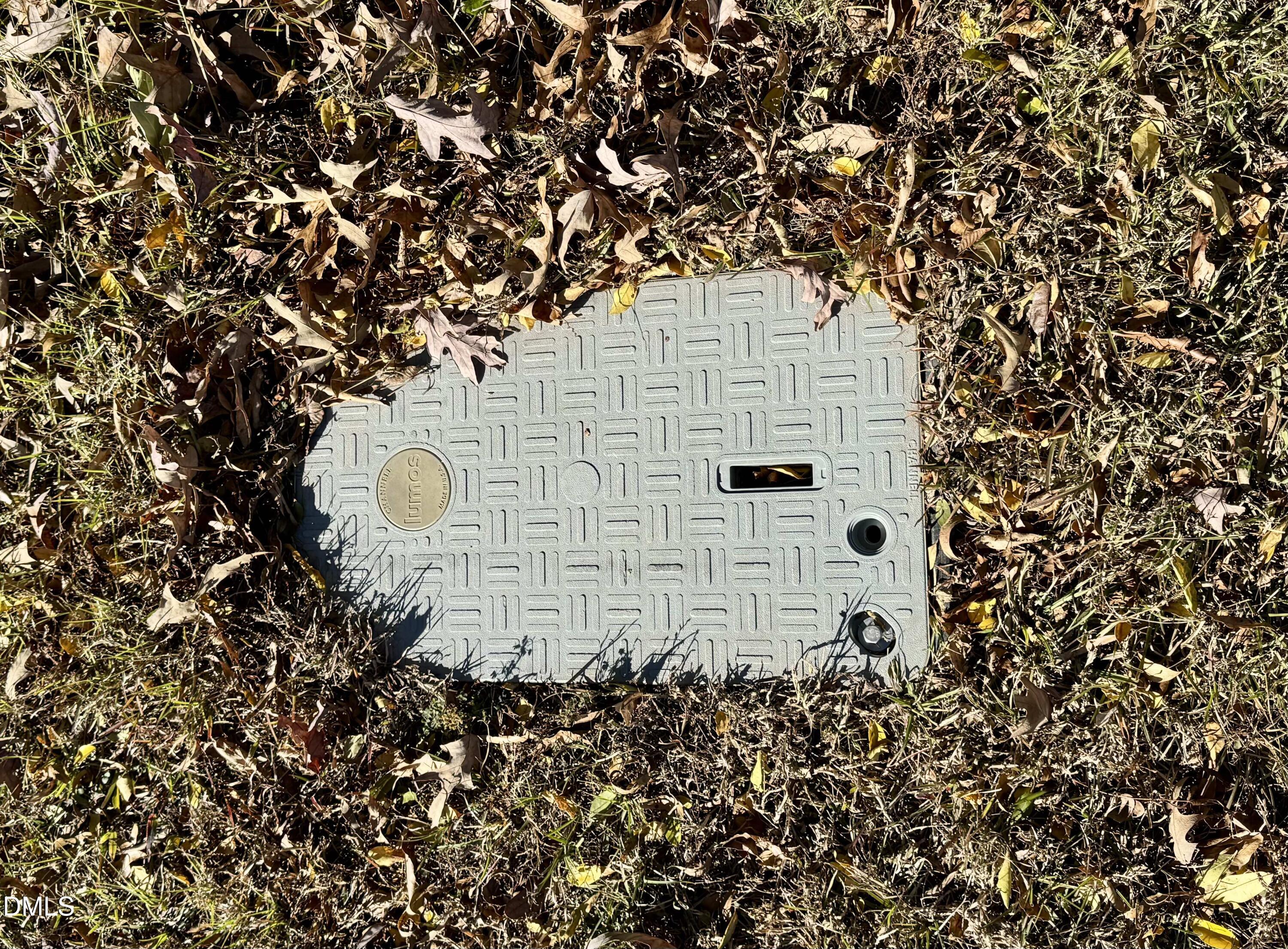 2207 Hamlin Road Durham, NC 27704 - Photo 6 of 20 a picture of a tree