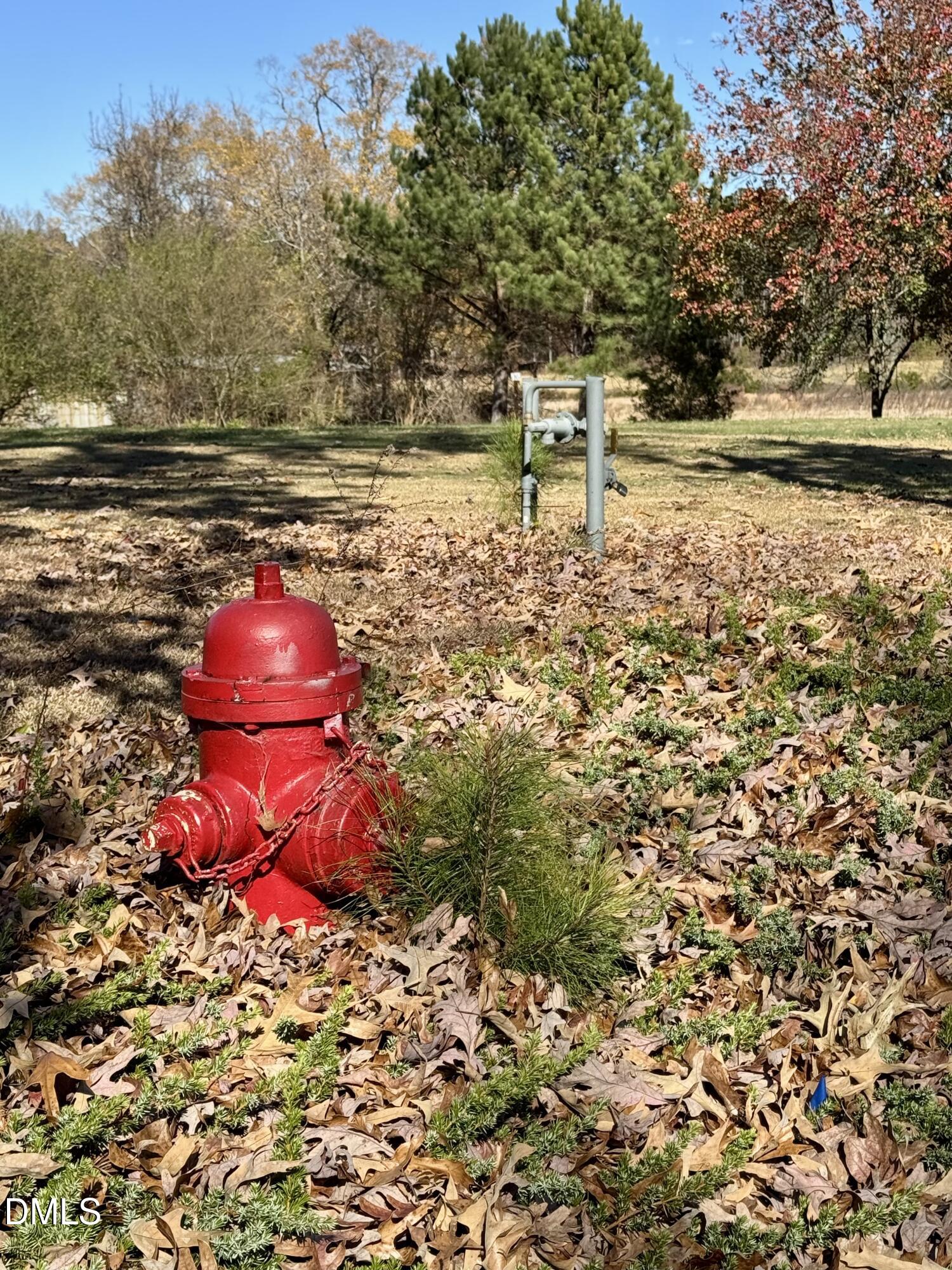 2207 Hamlin Road Durham, NC 27704 - Photo 7 of 20 a bench is sitting in the middle of a yard