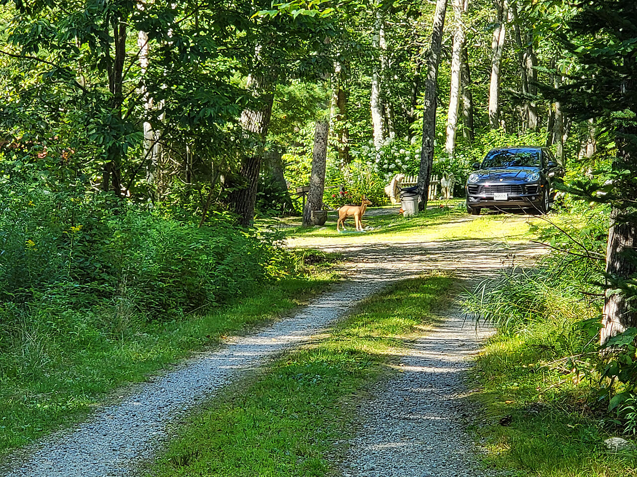 8 Perley Road Round Pond, ME 04564 - Photo 34 of 36 1-Exterior-19-1280
