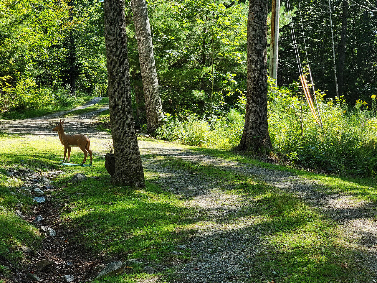 8 Perley Road Round Pond, ME 04564 - Photo 35 of 36 1-Exterior-18-1280