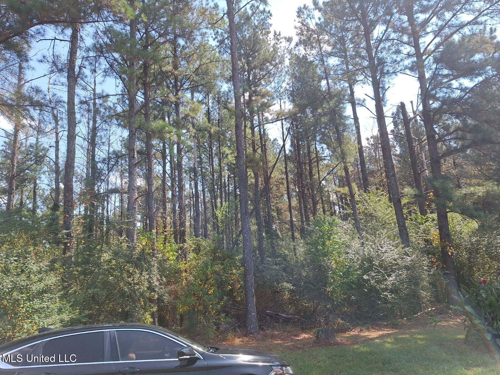 193 Blackwell Road Mendenhall, MS 39114 - Photo 35 of 47 image000000_1