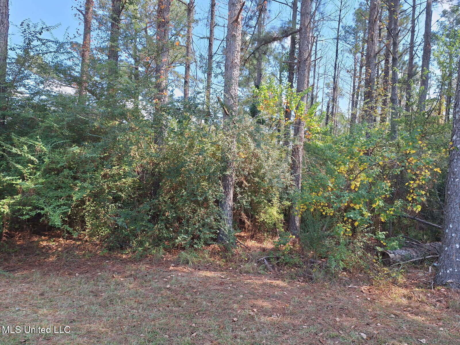 193 Blackwell Road Mendenhall, MS 39114 - Photo 36 of 47 image000000_2