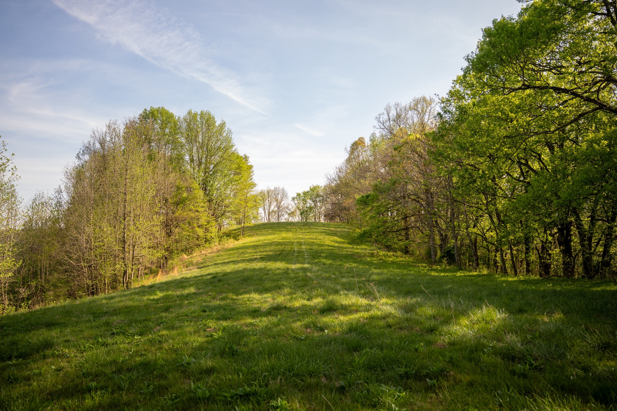 3345 Pigeon Roost Road Pulaski, TN 38478 - Photo 50 of 75