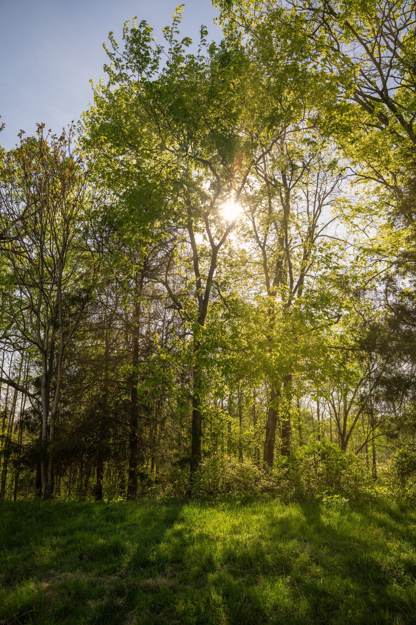 3345 Pigeon Roost Road Pulaski, TN 38478 - Photo 54 of 75