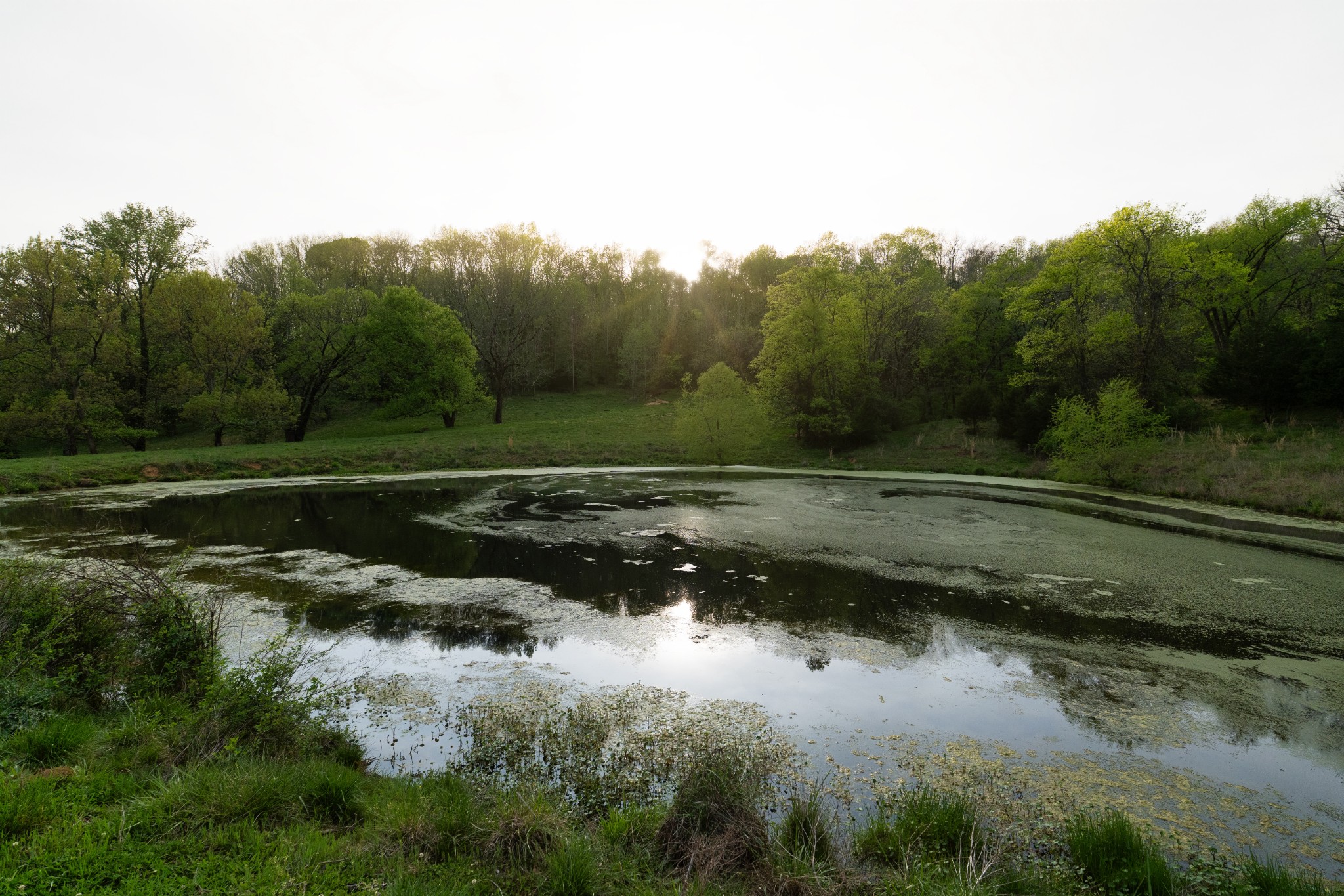 3345 Pigeon Roost Road Pulaski, TN 38478 - Photo 74 of 75