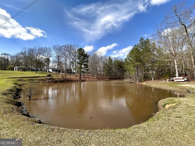 2086 Bethlehem Church Road Grantville, GA 30220 - Photo 2 of 69
