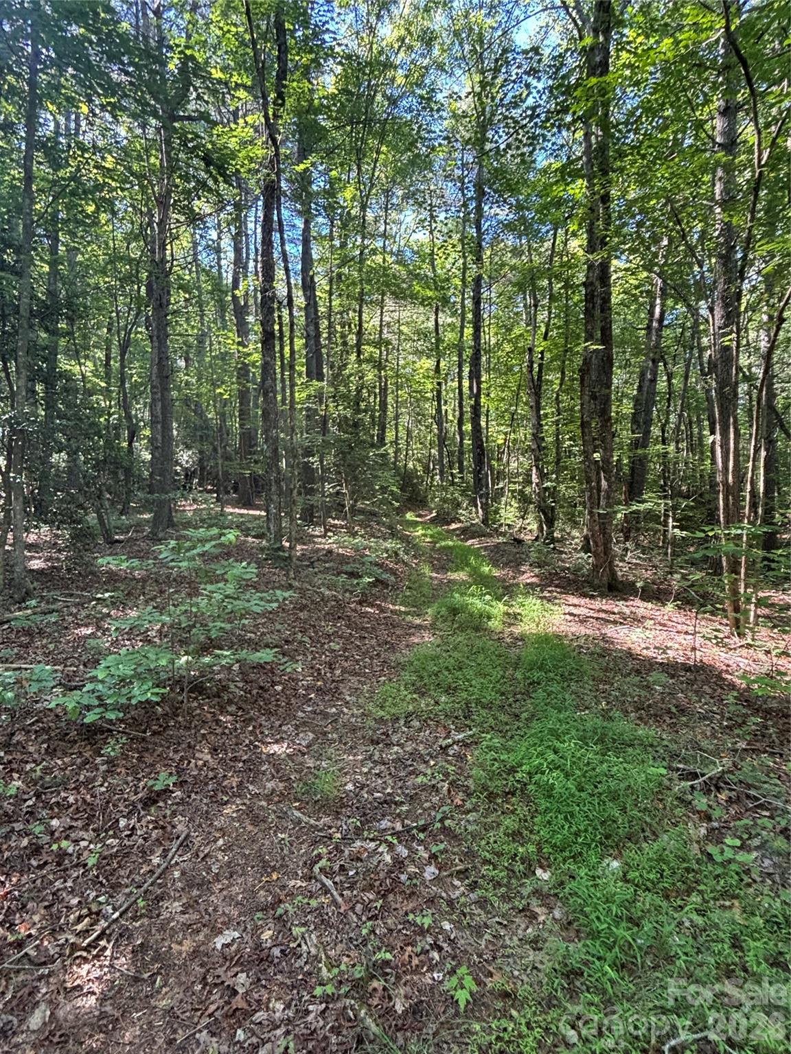 0 Stillwater Road Boomer, NC 28606 - Photo 27 of 33