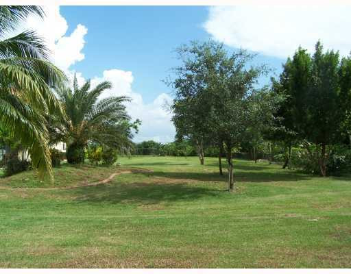 19100 Southwest 63rd Street Southwest Ranches, FL 33332 - Photo 8 of 9 a view of a park with trees in the background