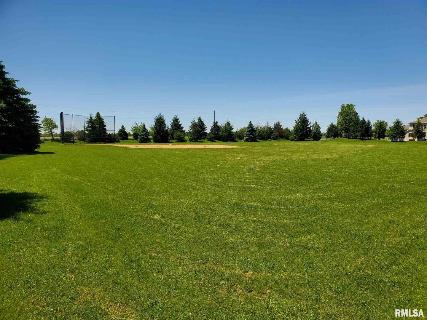 Lot 2 52nd Street West Milan, IL 61264 - Photo 17 of 18 a view of a field with two trees in the background