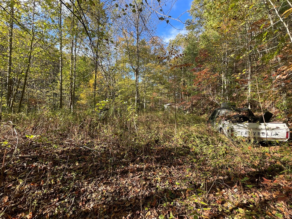 879 Dick Branch Road Robbinsville, NC 28771 - Photo 16 of 26 Gallery Image 16