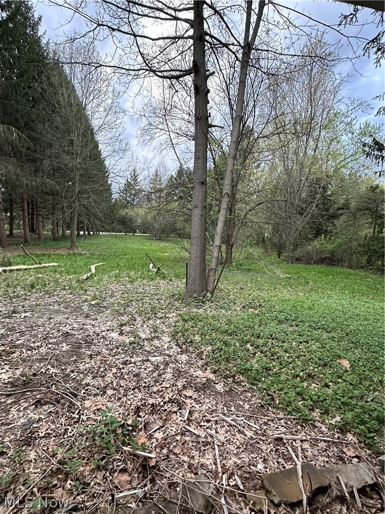 12754 Chamberlain Road Mantua, OH 44255 - Photo 15 of 41 Gallery Image 15