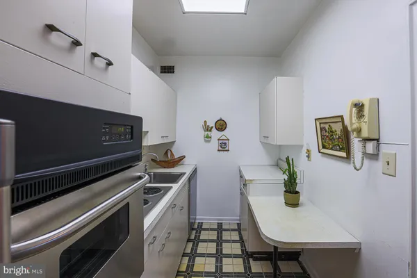 a kitchen with a stove and a potted plant