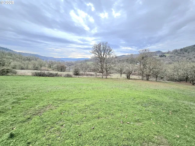 a view of yard with outdoor space