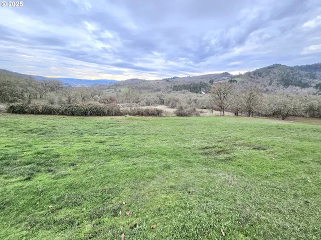 a view of an outdoor space and a yard