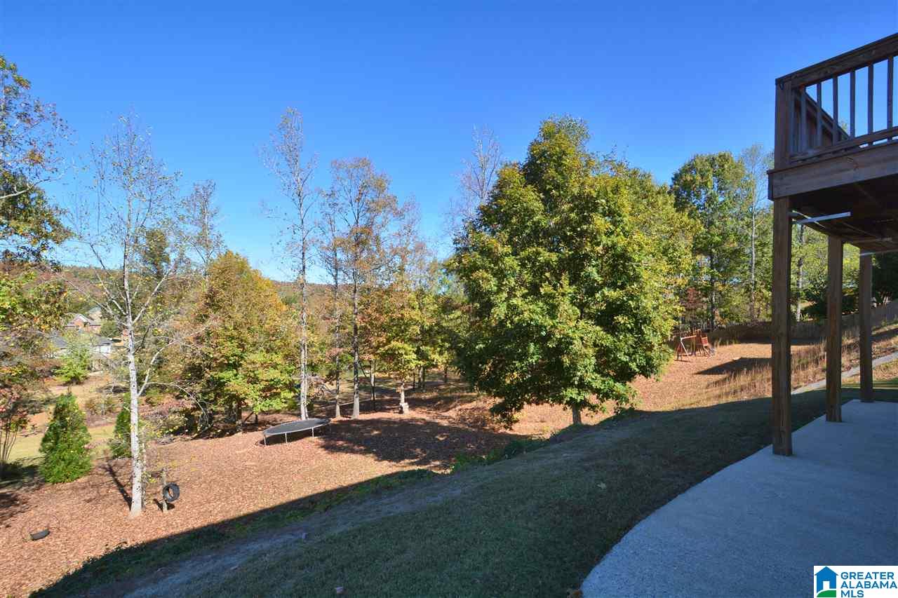 324 Deer Ridge Lane Chelsea, AL 35043 - Photo 35 of 43