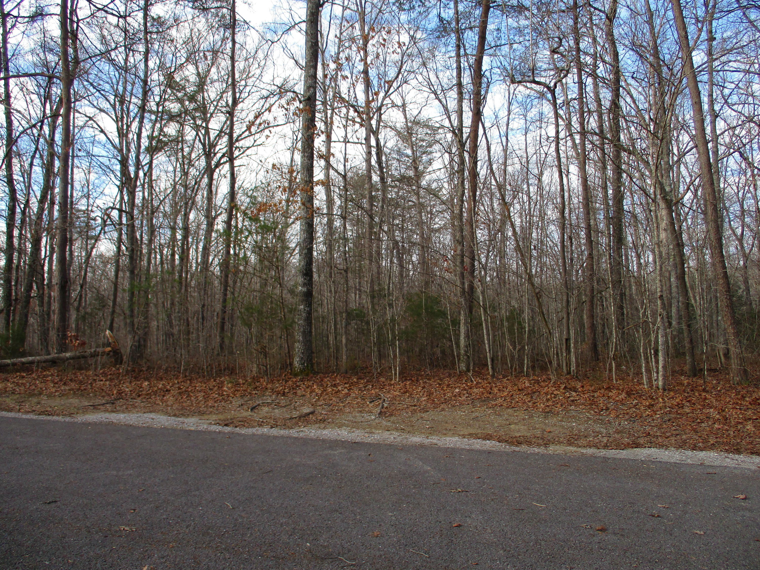 0 Mount Laurel Road, Unit 10 Pikeville, TN 37367 - Photo 12 of 12 IMG_0468