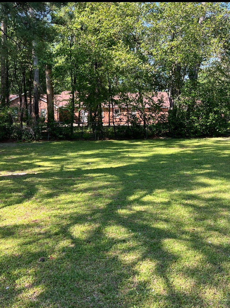 401 Pleasant Road Dothan, AL 36301 - Photo 5 of 14