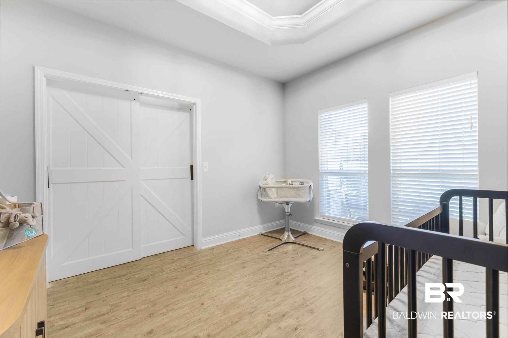 31336 Hoot Owl Road Daphne, AL 36527 - Photo 21 of 36 Bedroom featuring light wood-style floors, ornamental molding, a tray ceiling, a nursery area, and a barn door