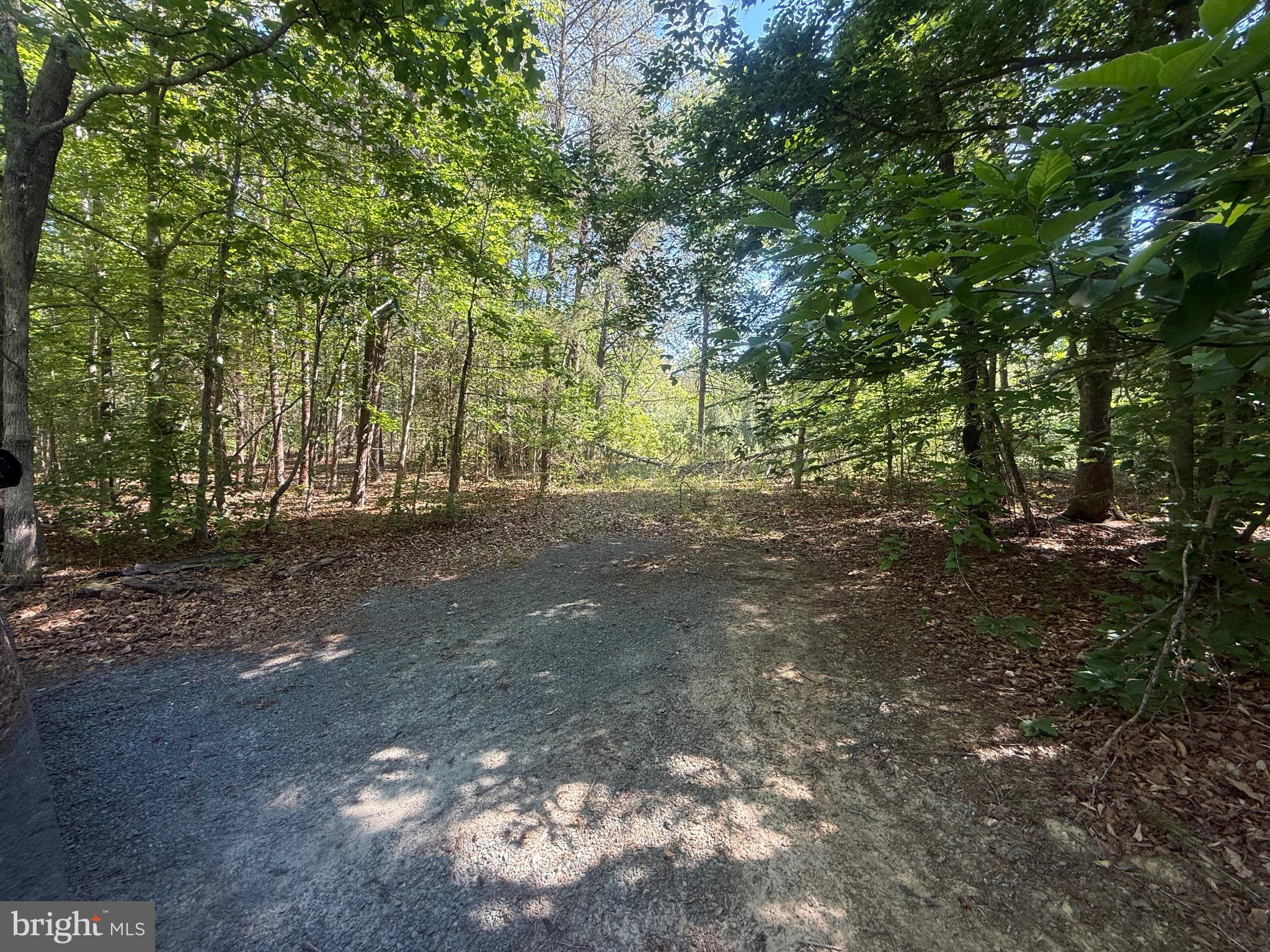 Sweetwater Way Keswick, VA 22947 - Photo 2 of 8