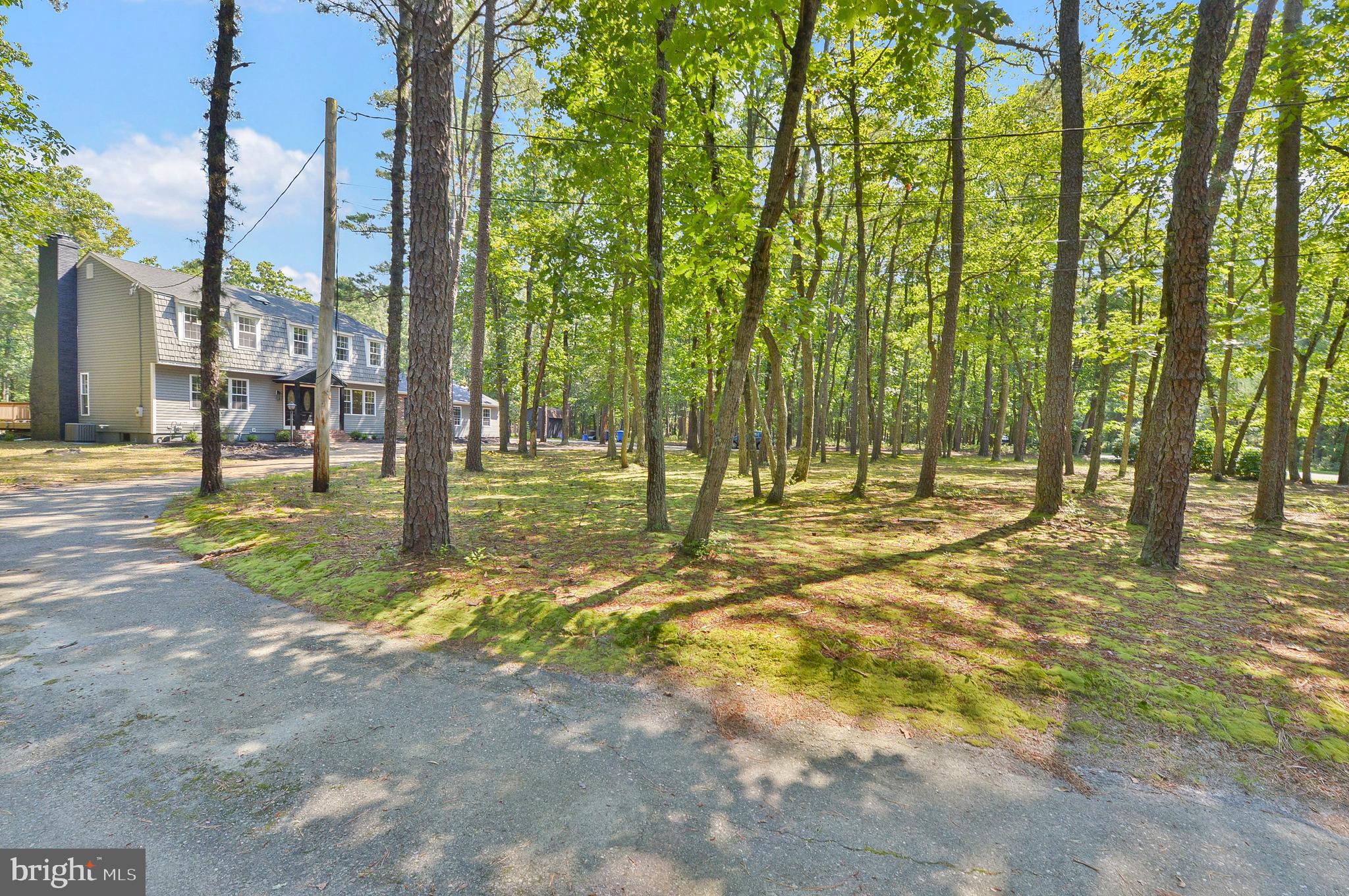 38 Bortons Road Medford, NJ 08055 - Photo 42 of 44