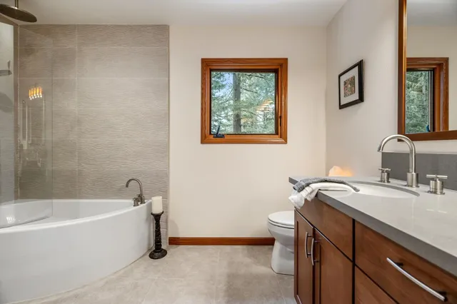 a view of a forest with trees