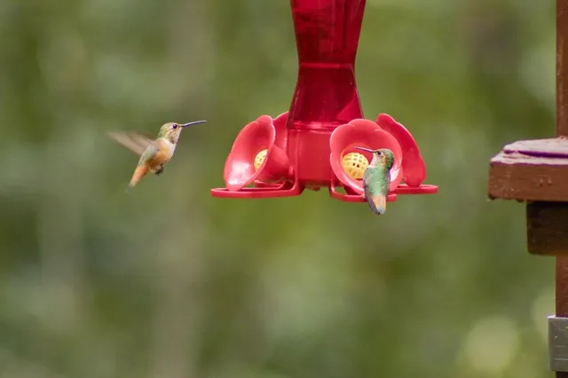 $1,499,000 | 489 Northridge Drive, Scotts Valley, CA 95066