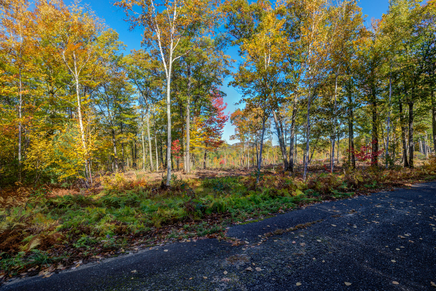 Lot 4 Birch Circle Harrison, ME 04040 - Photo 5 of 24 Pic#-4