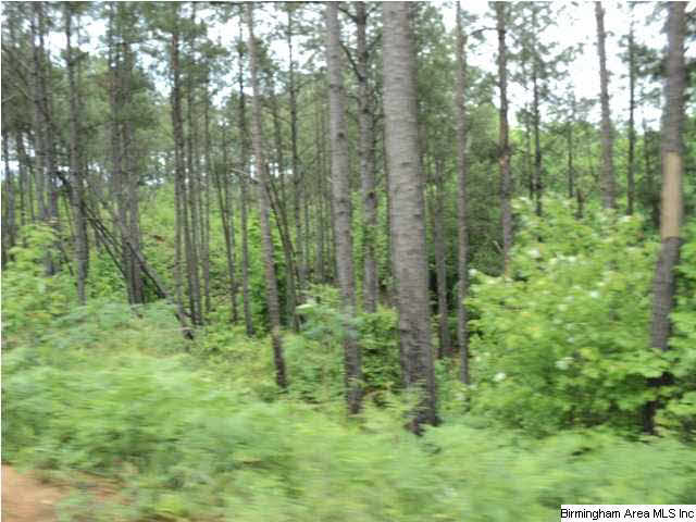 485 County Road, Unit 110 Clanton, AL 35046 - Photo 8 of 22