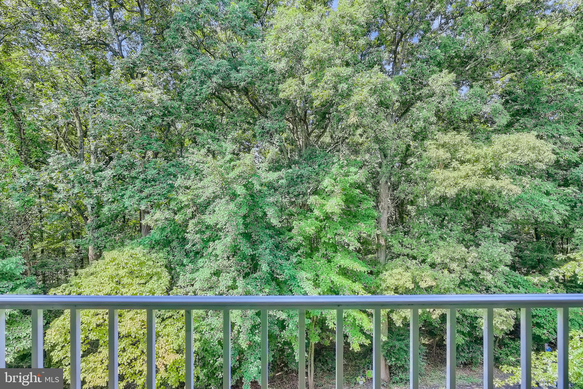 4934 Brightleaf Court, Unit 4934 Rosedale, MD 21237 - Photo 19 of 21 View of woods from the balcony