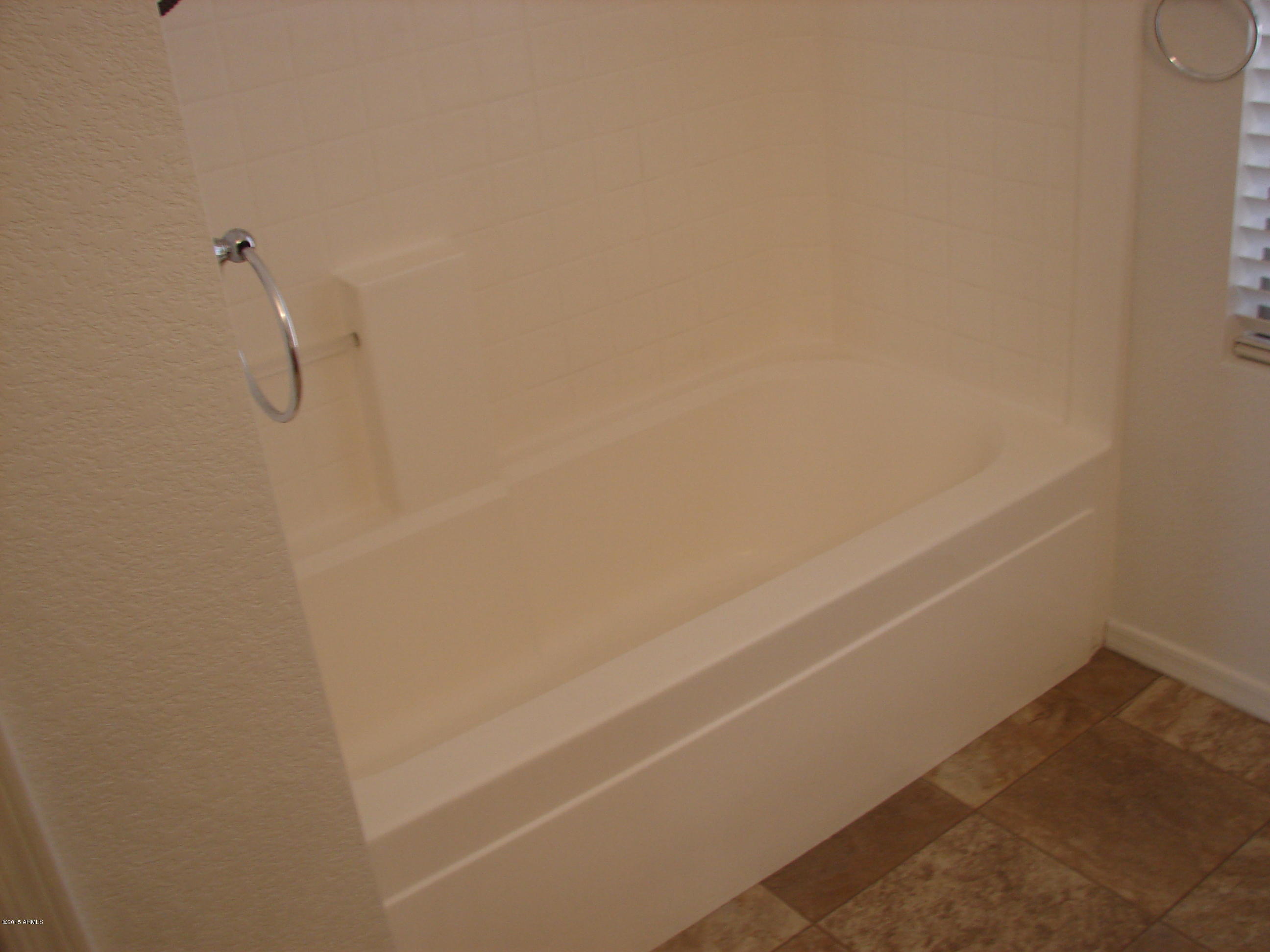 3259 South Bowman Road Apache Junction, AZ 85119 - Photo 31 of 45 Master Bath #2