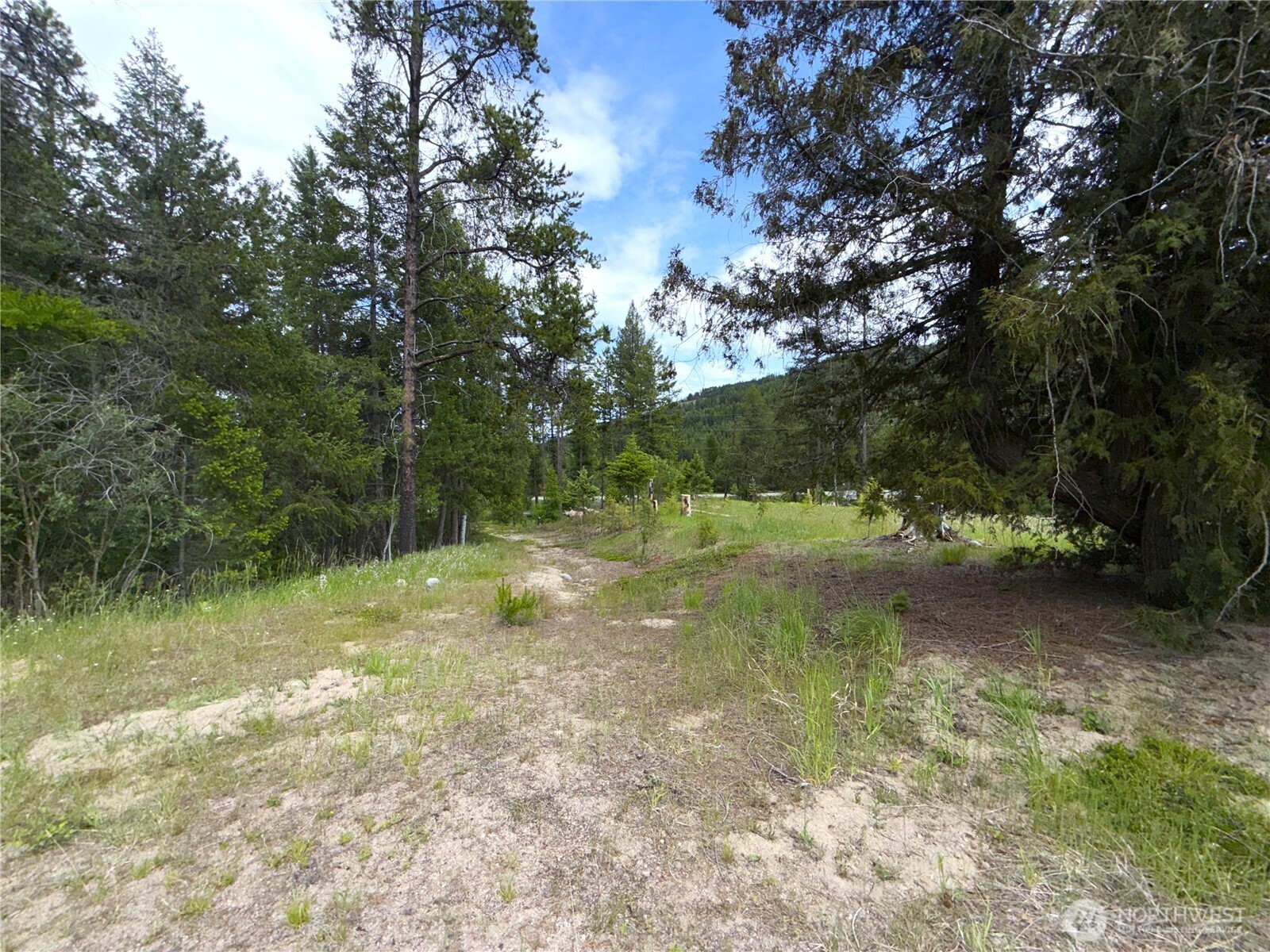 2 Hazel Lane Republic, WA 99166 - Photo 30 of 33