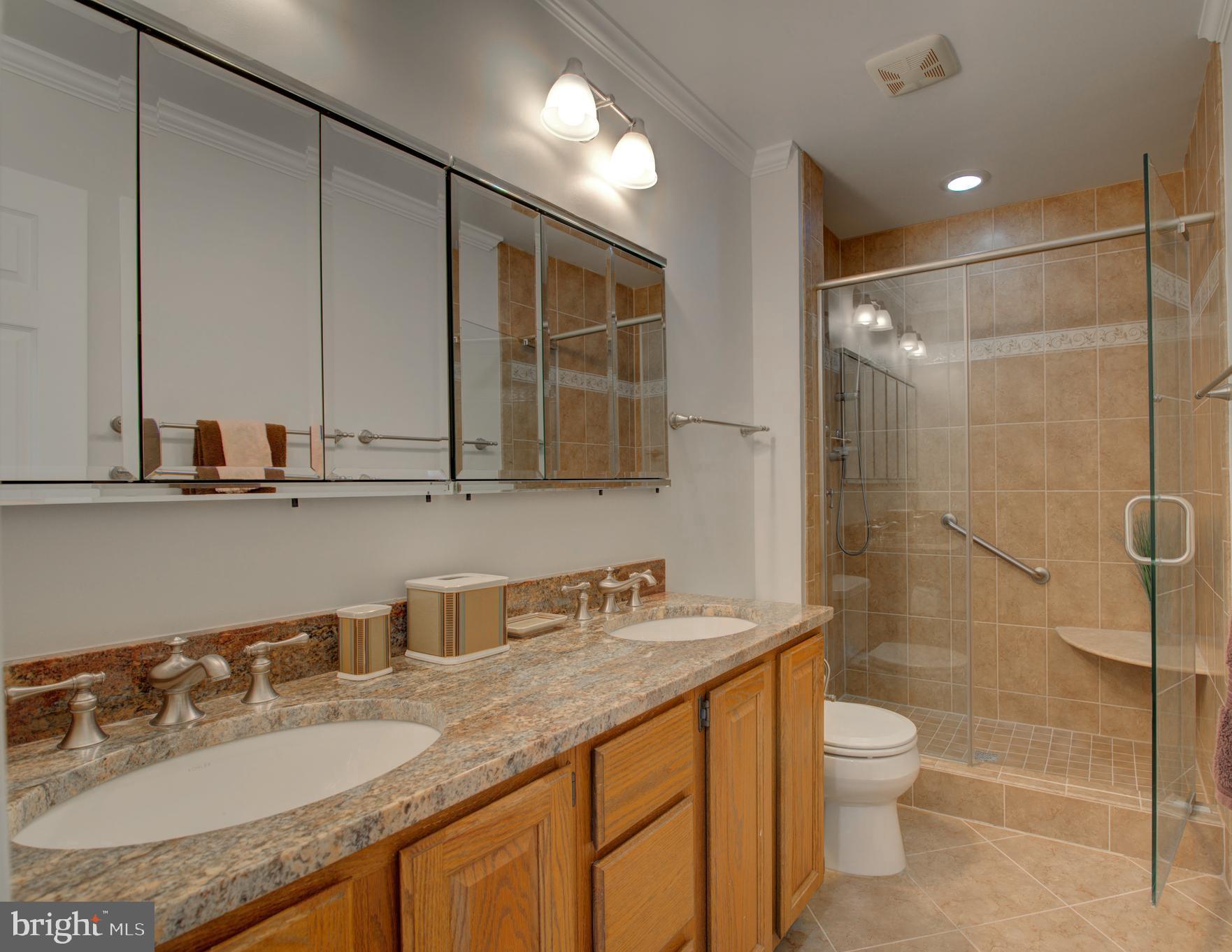 10405 Trumpeter Court Vienna, VA 22182 - Photo 27 of 43 a bathroom with a granite countertop sink a toilet and a mirror