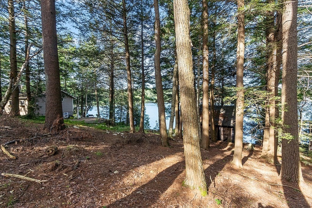 15 Browns Lake Road Ashburnham, MA 01430 - Photo 5 of 18 a view of a park with tree s