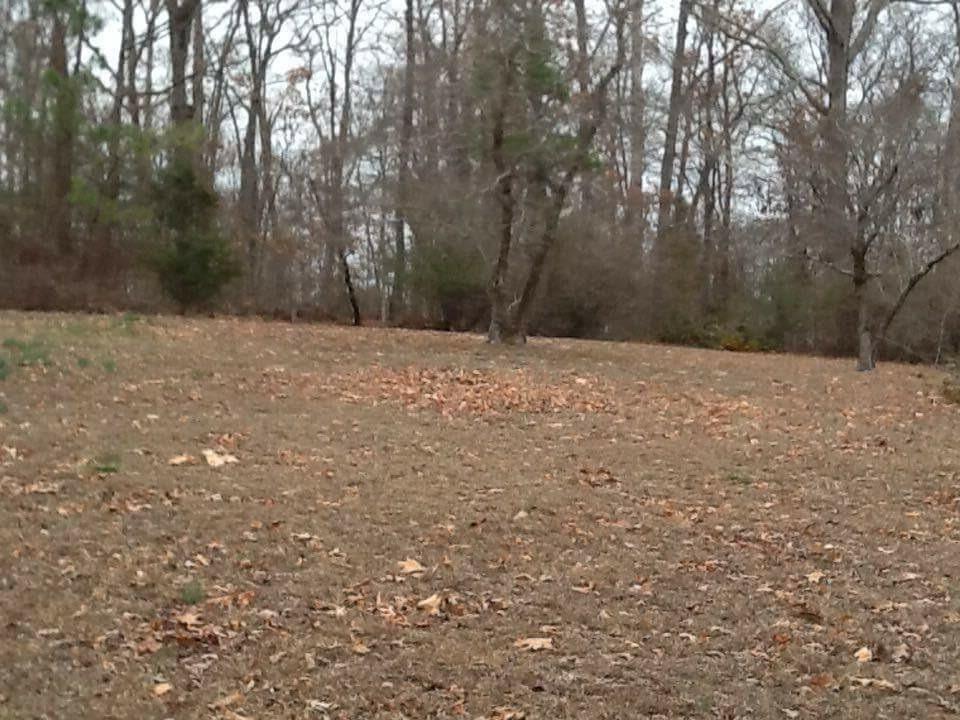2726 Thicket Road Soddy Daisy, TN 37379 - Photo 20 of 21 Yard (2)