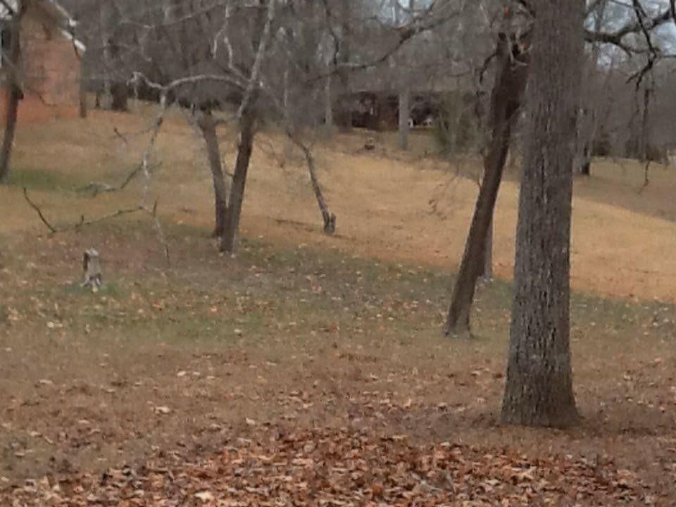 2726 Thicket Road Soddy Daisy, TN 37379 - Photo 21 of 21 Yard