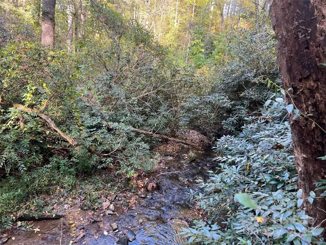 a view of a large tree with a tree