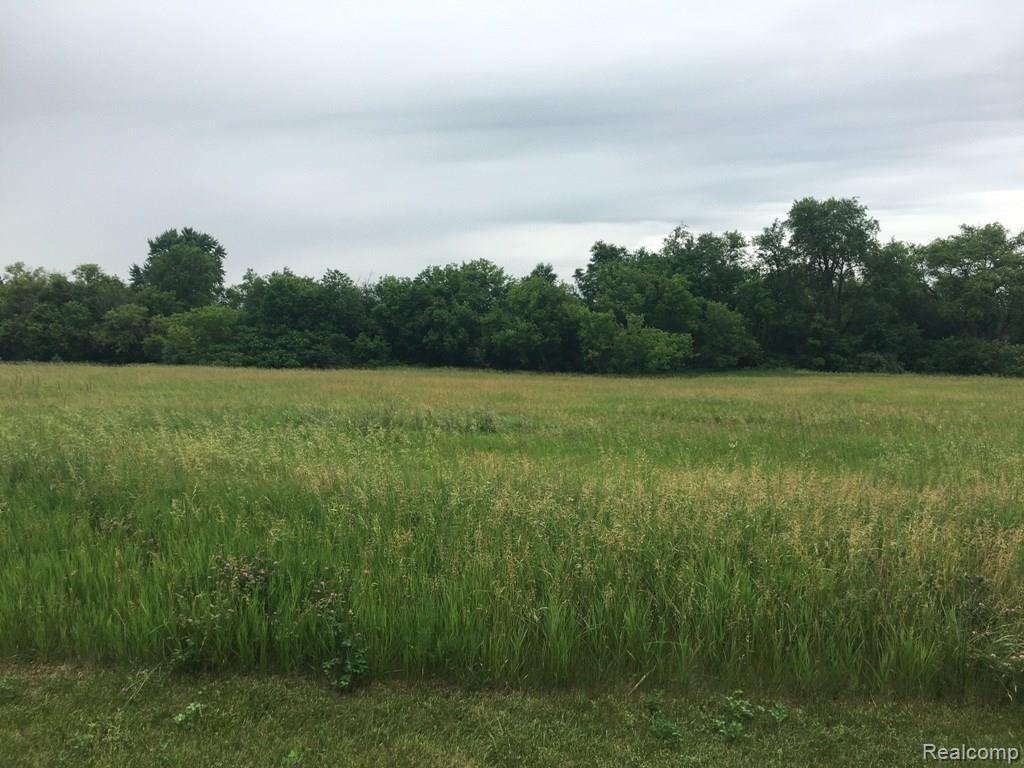 Unit 7 Hayridge Lane Howell, MI 48855 - Photo 2 of 5