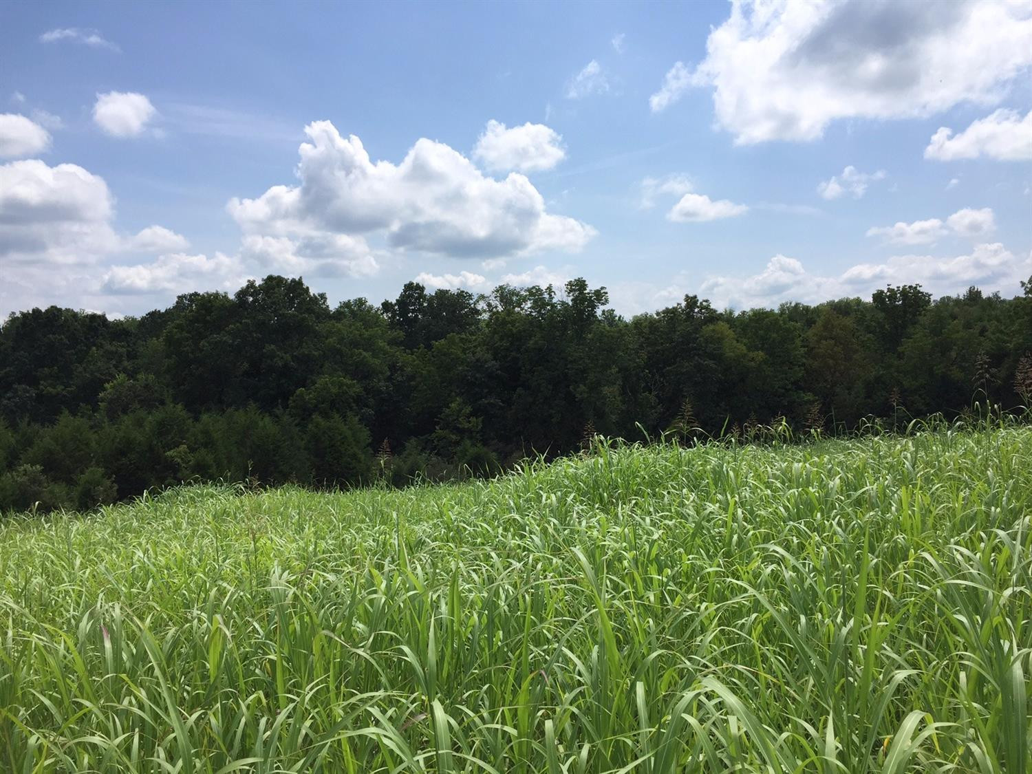2 Cedar Ridge Road Stanford, KY 40484 - Photo 14 of 18 Photo 14