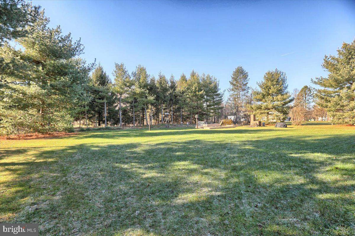 3060 Raintree Road York, PA 17404 - Photo 40 of 54 Large Backyard with views of Trees
