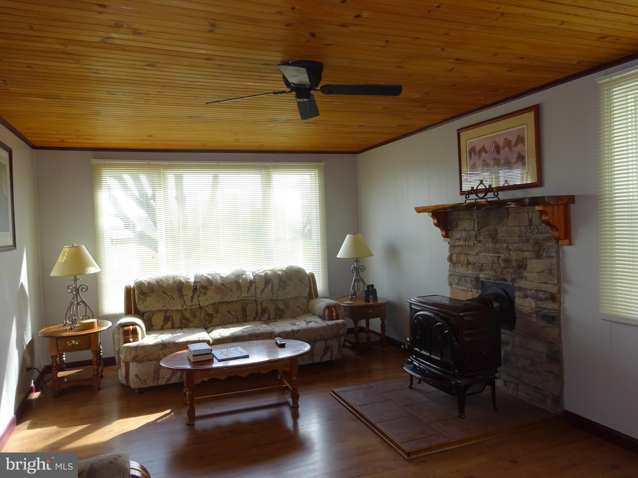 16644 Spielman Road Fairplay, MD 21733 - Photo 7 of 25 Sun Filled Living with Ceiling Fan